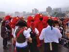 2014 Sevens waterfront parade day 2 - OMG dancing with the Elmos - photo by Paquita Dwyer