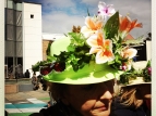 2015 Hastings Blossom Festival - Paquita's hat - photo by Alison Green