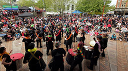Performing at the Whanganui Festival of Cultures - photo by the Wanganui Chronicle